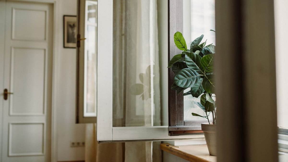 Fenêtre ouverte sur un intérieur clair, avec une plante verte sur le rebord